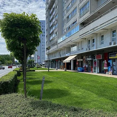 Belville, Suncokret 26 * Belgrade